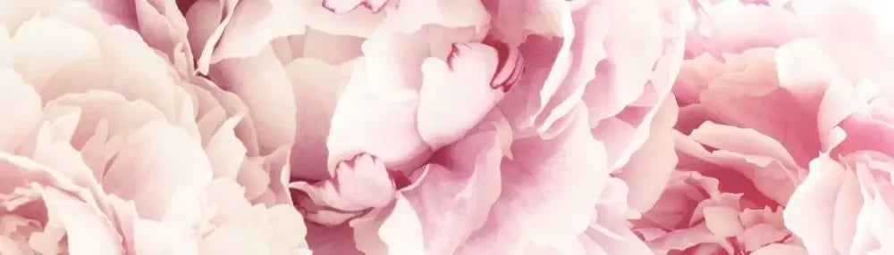 Vagheggi - Planethair