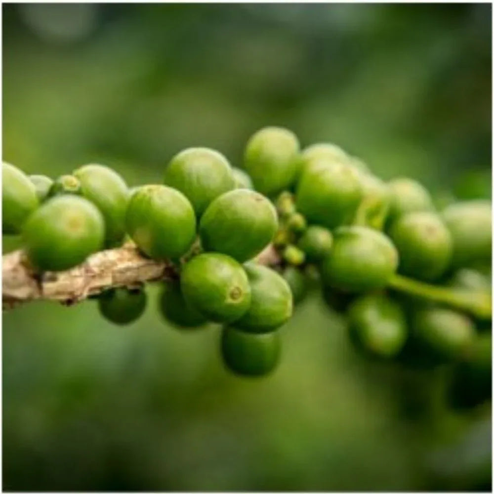 Sothys Sérum Perfecteur De Silhouette anticellulite 200ml - Planethair