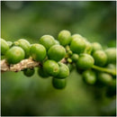 Sothys Sérum Perfecteur De Silhouette anticellulite 200ml - Planethair