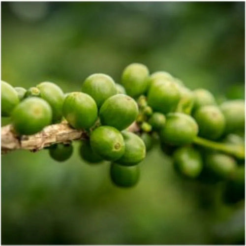 Sothys Sérum Perfecteur De Silhouette anticellulite 200ml - Planethair