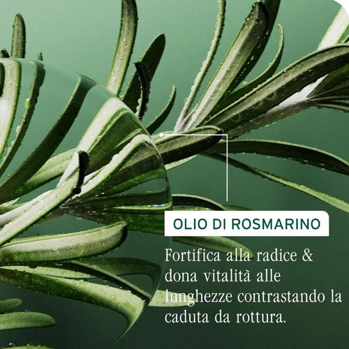 Biolage Full Rescue Siero cuoio capelluto 50ml - Planethair