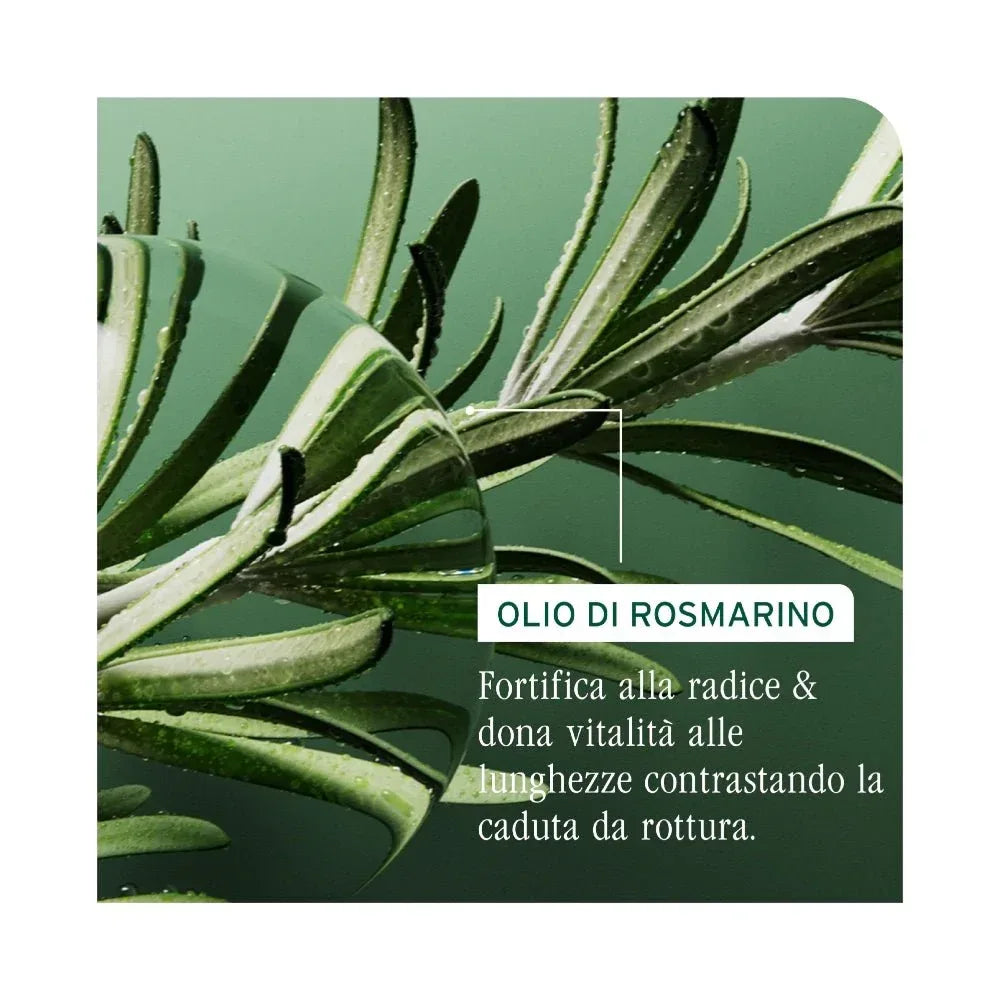 Biolage Full Rescue Conditioner capelli fragili 236ml - Planethair