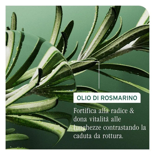 Biolage Full Rescue Mask capelli fragili 500ml - Planethair