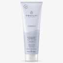 Paul Mitchell Awapuhi Wild Ginger Hydrate HydraSoft Shampoo 250ml