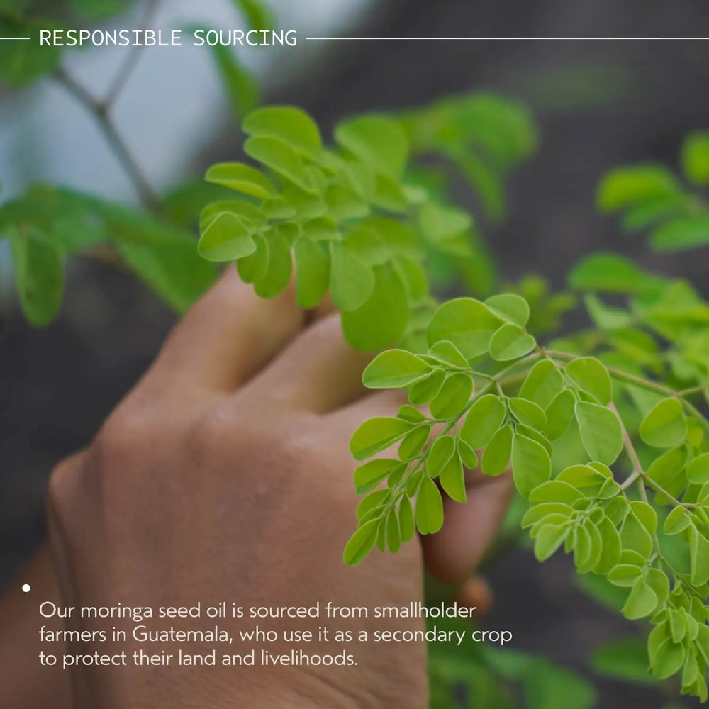 Approvvigionamento responsabile olio di moringa Aveda - piccoli produttori guatemaltechi per filiera etica e sostenibile
