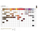 Joico Lumishine DEMI-PERMANENT LIQUID COLOR SHADE CHART -Planethair