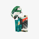 Aveda Botanical Repair Kit Regalo trattamento ristrutturante capelli - Planethair