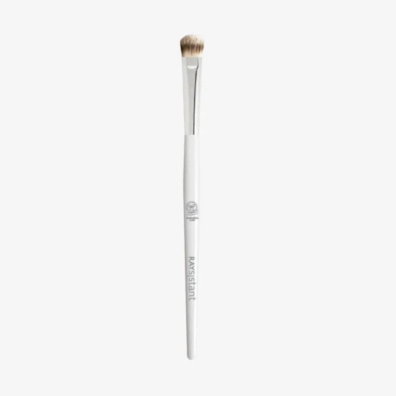 Makeup brushes