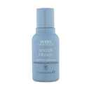 Aveda Smooth Infusion Kit Capelli Crespi - Planethair