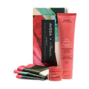 Aveda Nutriplenish Set Idratante Deep con Foulard - Planethair