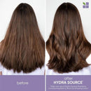 Biolage Hydra Source Blow Dry Shoping Lotion idratante capelli 150ml - Planethair