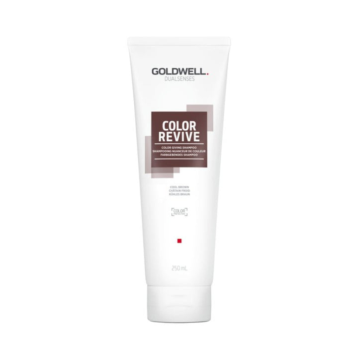 Goldwell Dualsenses Color Revive Shampoo Colorante 250ml - Planethair 