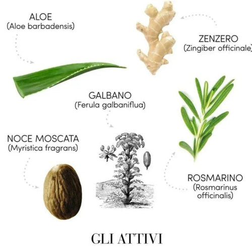 Medavita Puroxine Special Kit Antiforfora Spray e Shampoo - Planethair