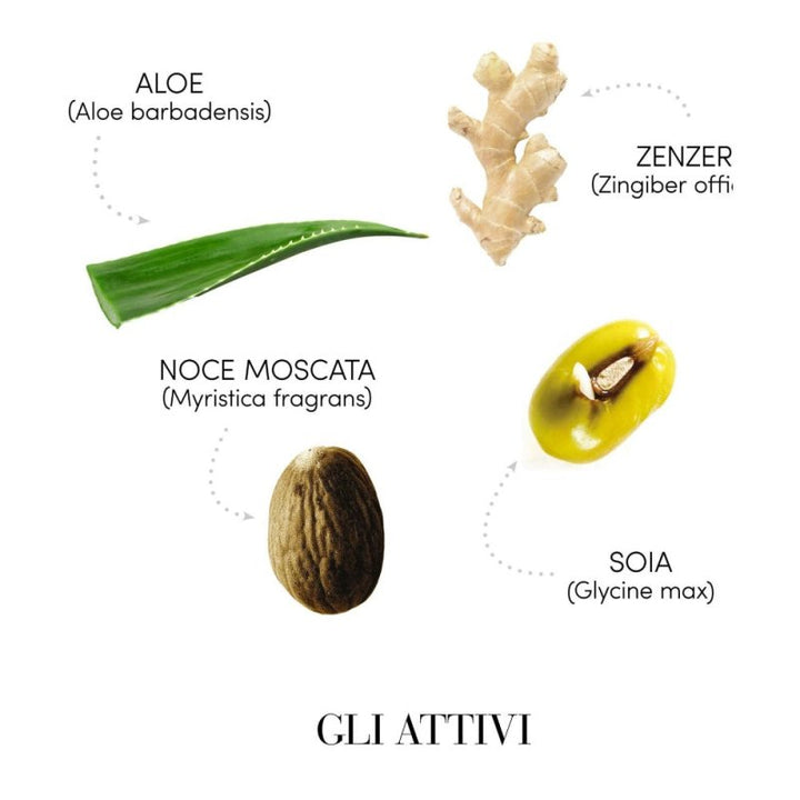 Medavita Requilibre Special Kit Cute Seborroica Spray e Shampoo - Planethair 