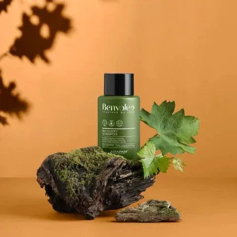 Alfaparf Benvoleo Recovery Shampoo capelli danneggiati - Planethair
