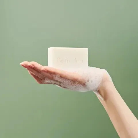 Benvoleo Daily Shampoo solido organico 3 in 1 80gr Alfaparf Milano - Planethair