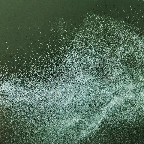 Benvoleo Perfect Again Mist shampoo secco 150ml Alfaparf Milano - Planethair