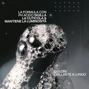 Redken Acidic Color Gloss Shampoo senza solfati capelli colorati - Planethair