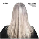 Redken Color Extend Graydiant Shampoo capelli grigi 300ml - Planethair