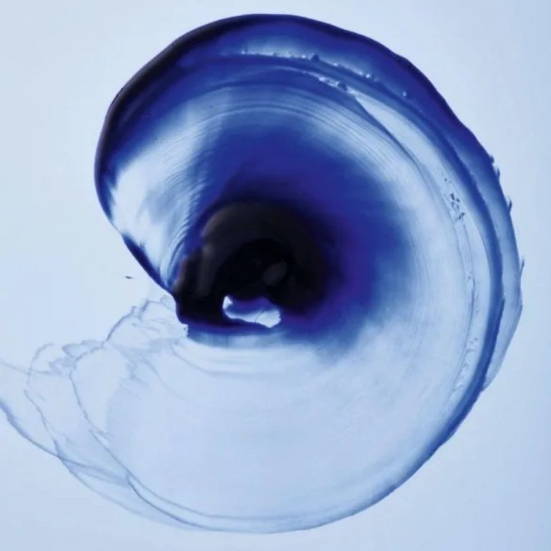 Indola Blonde Expert Insta Cool Shampoo Antigiallo - Planethair 