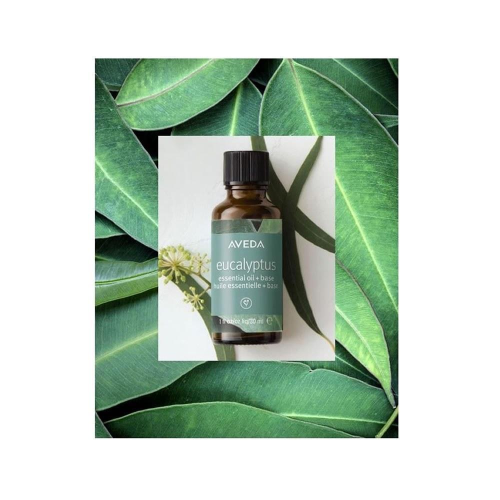 Aveda Oli Essenziali Eucalyptus 30ml - Planethair 