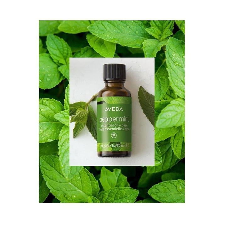 Aveda Oli Essenziali Peppermint 30ml - Planethair 