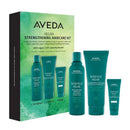 Aveda Botanical Repair Kit Capelli Rovinati Planethair