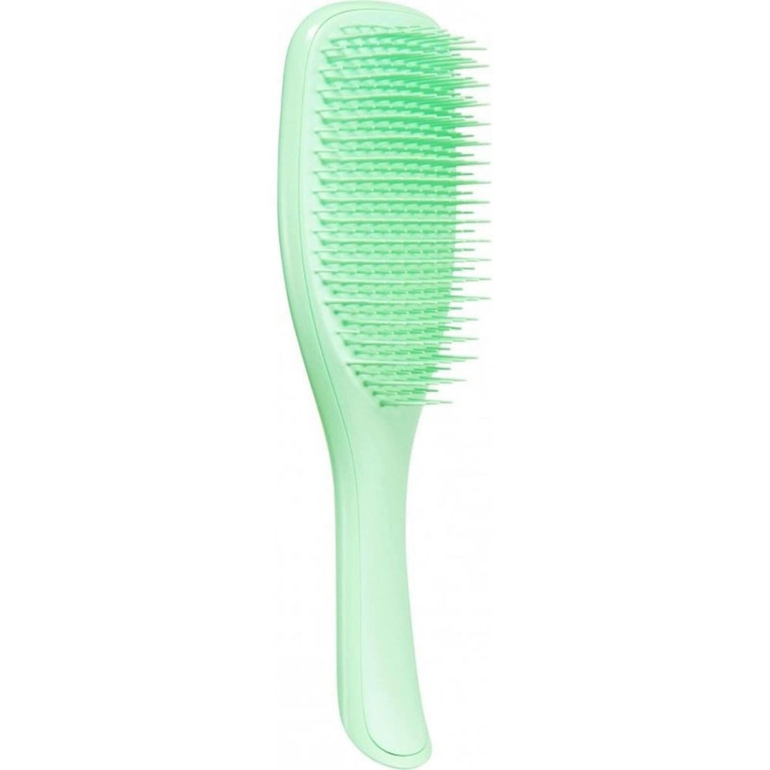 Tangle Teezer Wet Detangling Brush Neon Mint - Planethair 